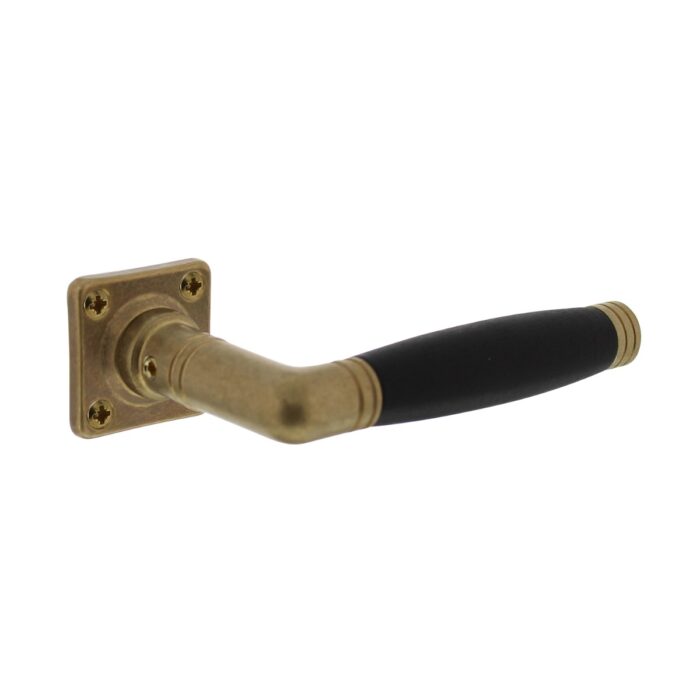 Intersteel Poignée de porte Ton 222 avec rosace 38x38x7mm laiton poli/ébène