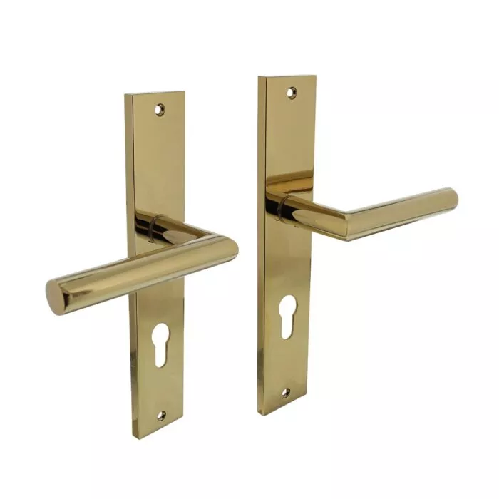 Intersteel Door handle Bastian on shield 245×45 mm profile cylinder hole 72 mm brass titanium PVD