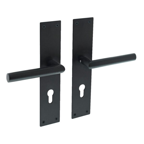 Intersteel Door handle Jura with shield 250x55x2mm, black, on shield