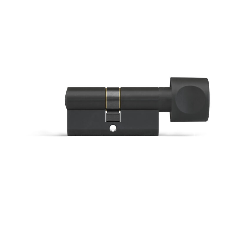 black-cylinder-with-knob-DOM stupid black knob cylinder Plura