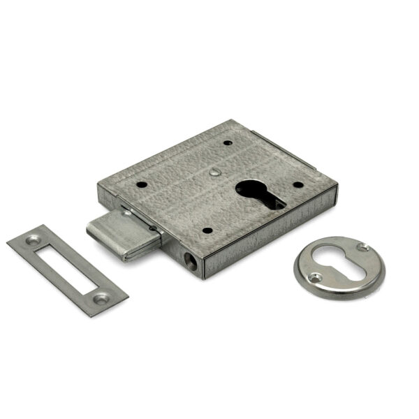 DX surface-mounted gate lock for cylinder
